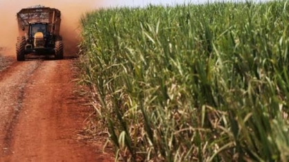 Tailândia prevê elevar exportação de açúcar para 9 mi t em 2022/23