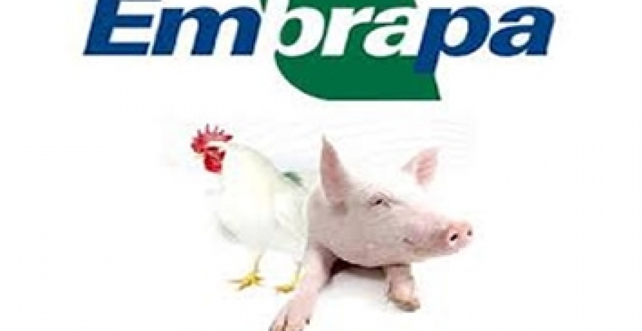 Embrapa modifica critérios de custo de produção e divulga números do mês