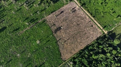 Não se esperava dos EUA valor tão baixo para o Fundo Amazônia