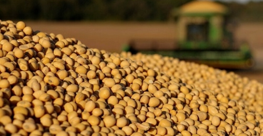 2023 começa com recorde de exportações de cereais