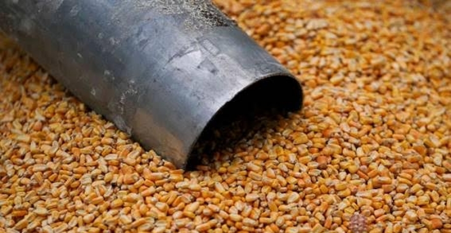 Exportação recorde de milho derruba estoques para 2 mi de toneladas