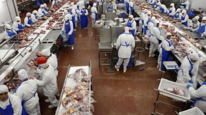A influência do boi-China no preço doméstico da carne bovina