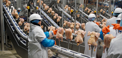 Frango: Exportações sobem 1,3% em fev. e valor 11,1% em relação a fev/22