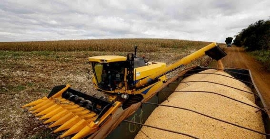 Brasil pode colher recorde de 126,6 mi t de milho, aponta pesquisa