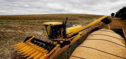 Brasil pode colher recorde de 126,6 mi t de milho, aponta pesquisa