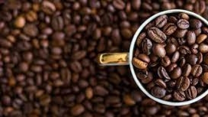 Exportação de café despenca em fevereiro com produtor limitando vendas