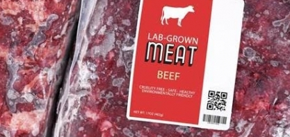 Governo italiano quer proibir carne de laboratório
