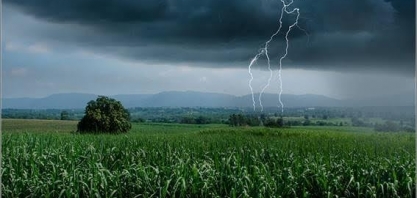 StoneX eleva previsão de moagem de cana do Centro-Sul