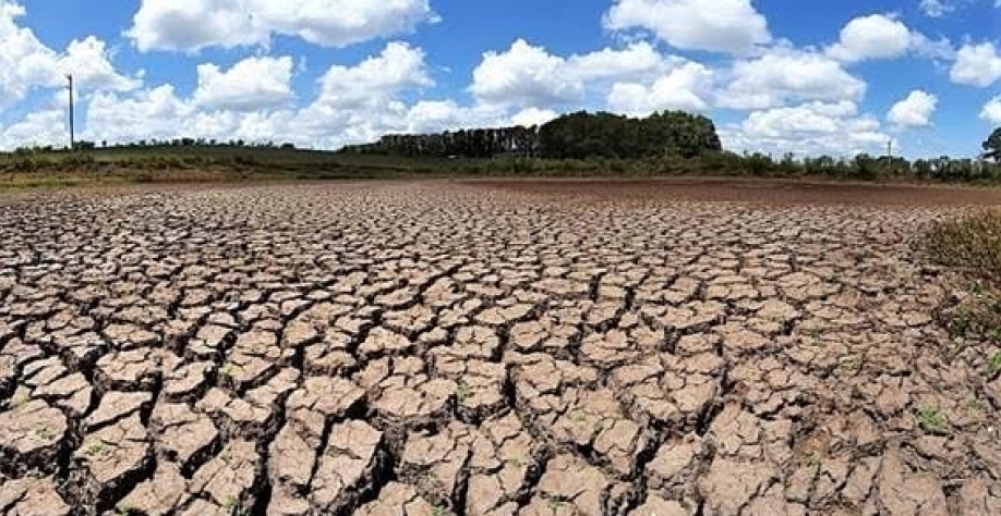 Clima faz setor agrícola perder espaço no PIB do Brasil
