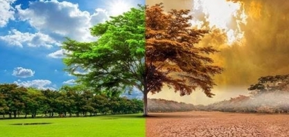 Brasil está muito atrasado na adaptação às mudanças climáticas