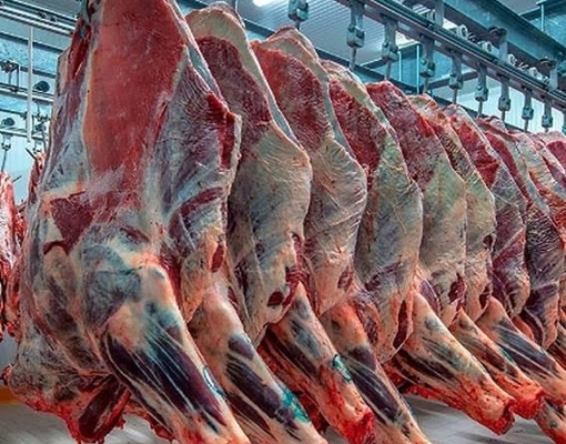 Em 2022, brasileiro teve menor consumo de carne bovina desde 2004