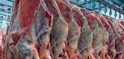 Em 2022, brasileiro teve menor consumo de carne bovina desde 2004