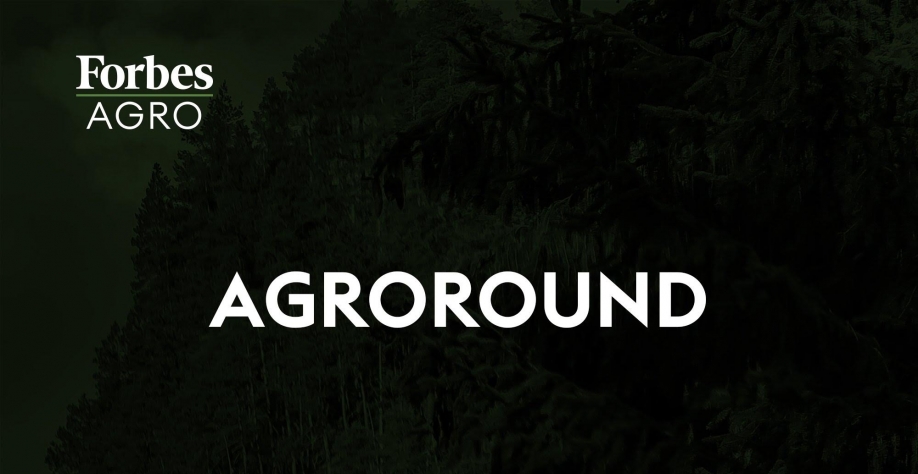 Illy premia os melhores produtores de café do Brasil