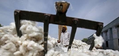 Algodão: Produção global deve somar 24,37 mi de t e 2022/23
