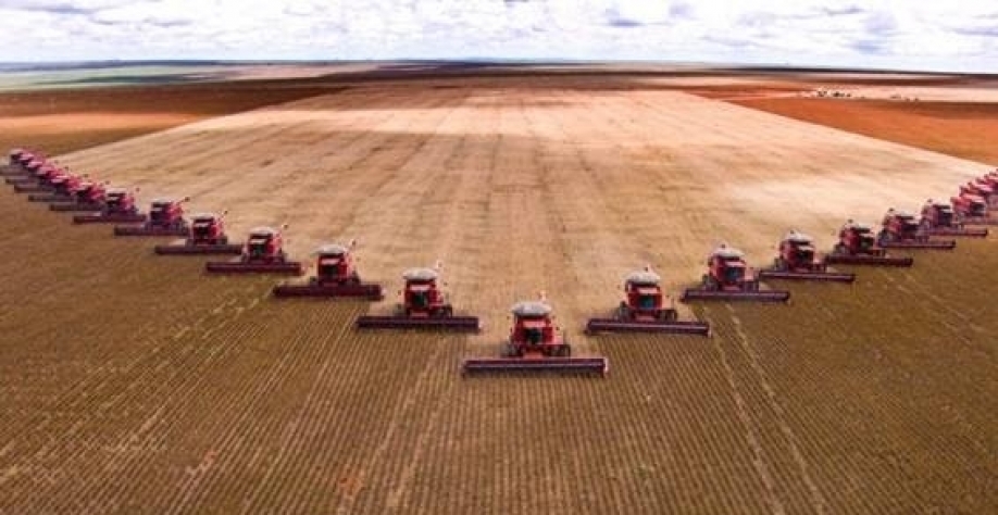 Supersafra e exportações dão impulso ao PIB do agronegócio