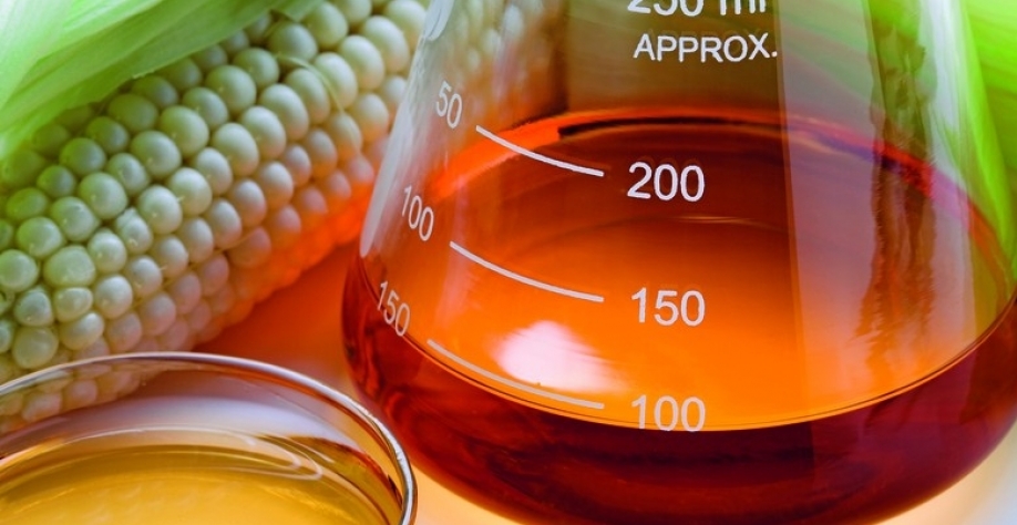 Mato Grosso pode bater recorde com 5,2 bilhões de litros de etanol