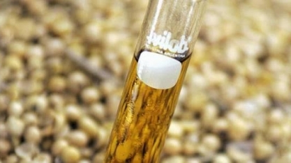  Como o setor agro enxerga o aumento da mistura do biodiesel no diesel?