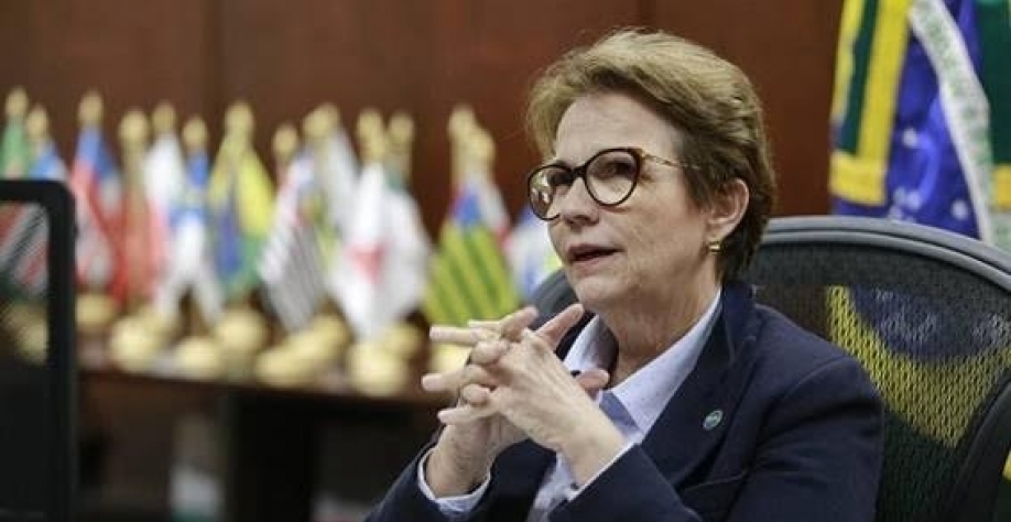 Tereza Cristina foi ministra da Agricultura durante o governo Bolsonaro. Foto Guilherme Martimon/Ministério da Agricultura