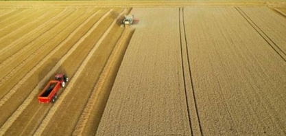 Com supersafra, campo deve injetar R$ 1,25 tri na economia neste ano