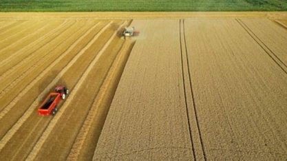 Com supersafra, campo deve injetar R$ 1,25 tri na economia neste ano