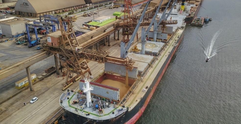 Exportação de soja deve avançar 20,5% em março, diz Anec
