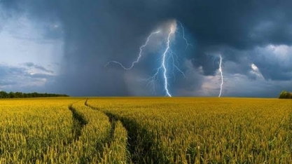 Mudanças climáticas e o combate de cada país