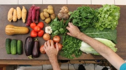 Governo Lula anima setor de orgânicos com promessa de compras para programa