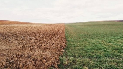 Suzano e Raiar vão recuperar solos e plantar grãos orgânicos