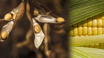 Preços maiores sustentam balança no primeiro bimestre 