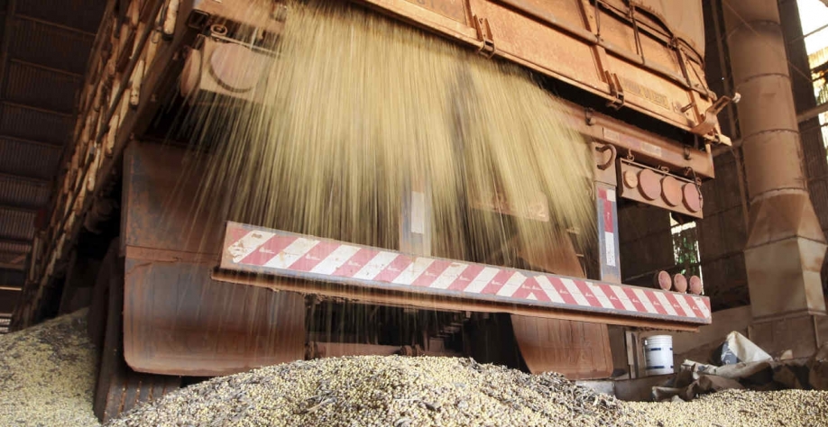 Argentina pode perder liderança na exportação de farelo de soja para Brasil