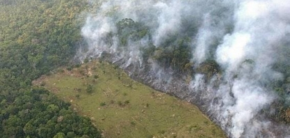 Três quartos do desmatamento sob Bolsonaro têm indícios de ilegalidade