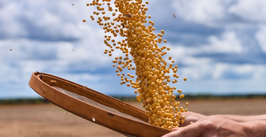 Soja: Análise Conjuntural Agromensal Março/2023 Cepea/Esalq USP