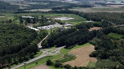 Como o Brasil revolucionou o cultivo do trigo apostando na ciência agrária