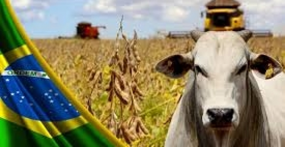 VBP de 2023 é projetado em R$ 1,229 trilhão, + 4,7% ante 2022