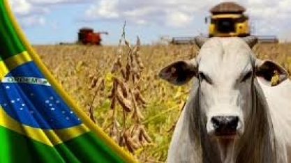 VBP de 2023 é projetado em R$ 1,229 trilhão, + 4,7% ante 2022