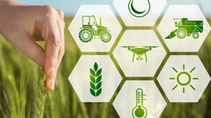 Como ESG e blockchain podem estar na costura de um agro mais sustentável