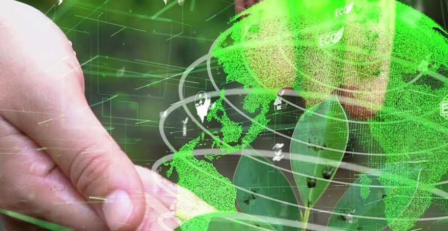 Para acelerar ESG no Brasil, CEOs devem assumir a pauta 