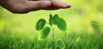 Seguro rural: Mapa anuncia liberação de R$ 1 bilhão para subvenção