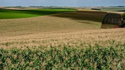 Milagre da segunda safra no Brasil está na tecnologia das lavouras
