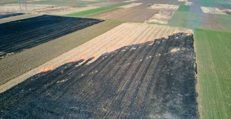 Desastres climáticos aumentam, e seguro rural não acompanha crises