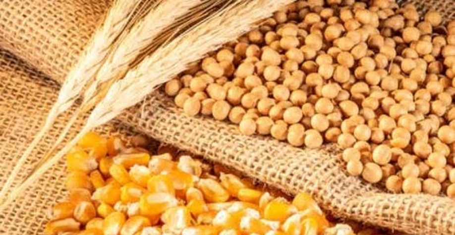 Grãos: IGC eleva projeção da safra global 2022/23 para 2,252 bi de t