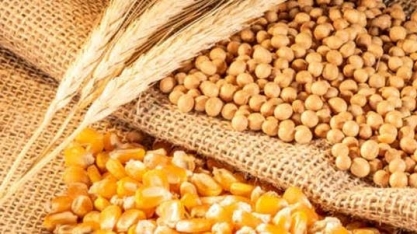 Grãos: IGC eleva projeção da safra global 2022/23 para 2,252 bi de t