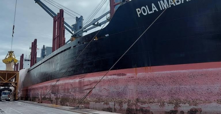 7 países que exportam para o Brasil mais de US$ 1 bilhão em produtos agro 