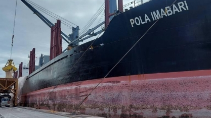 7 países que exportam para o Brasil mais de US$ 1 bilhão em produtos agro 