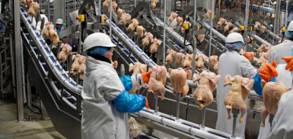 Brasil bate recorde em exportação de frango em março