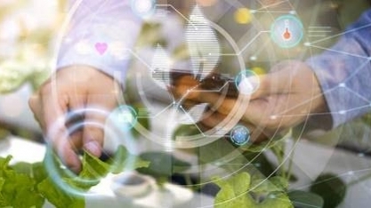 Como as big foods buscam caminhos na IA para moldar o futuro da alimentação