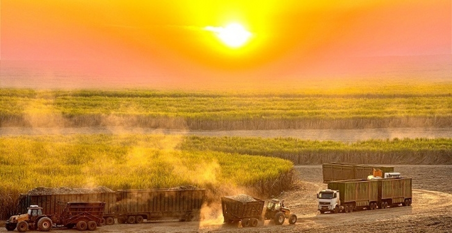 Moagem acumulada no Centro-Sul na safra 2022/23 sobe 4,6% ante 2021/22