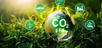 Crédito de carbono: Como o Brasil pode ser pioneiro nesse novo mercado?