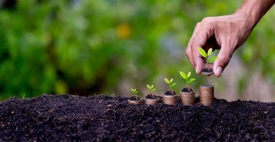 O agro e a agregação de valor - Por Celso Ming