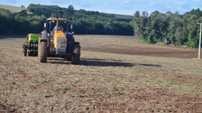 Trigo: PR inicia plantio da nova safra com área 13% maior de 1,36 mi de ha